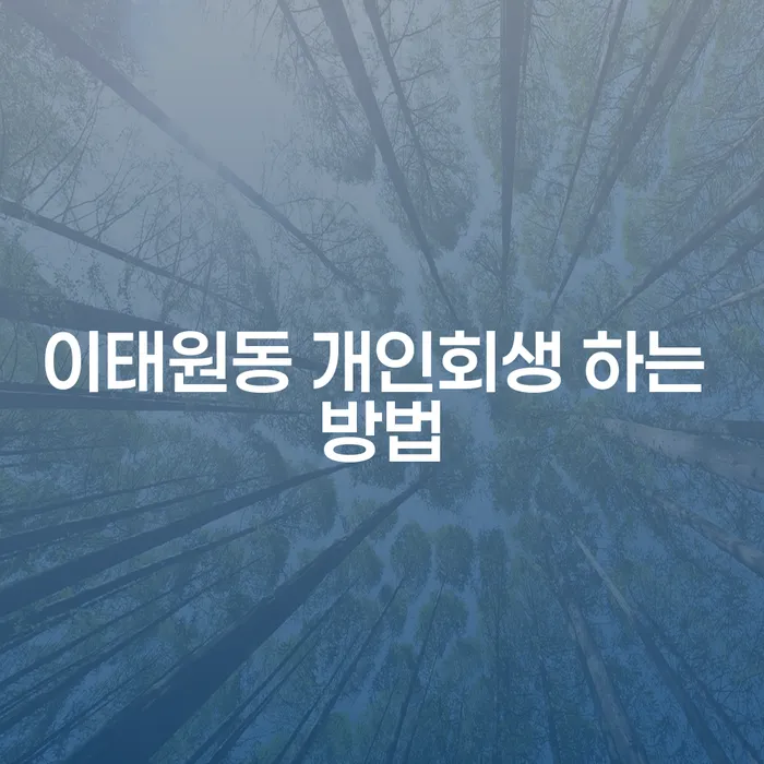 이태원동 개인회생 어떻게 신청할 수 있을까요?