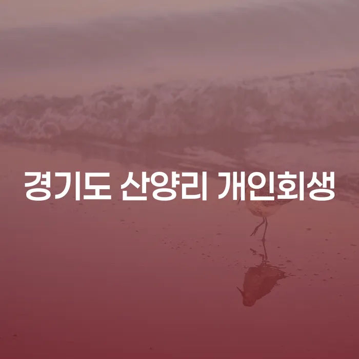 경기도 산양리 개인회생 과 개인파산, 어떻게 시작해야 할까?