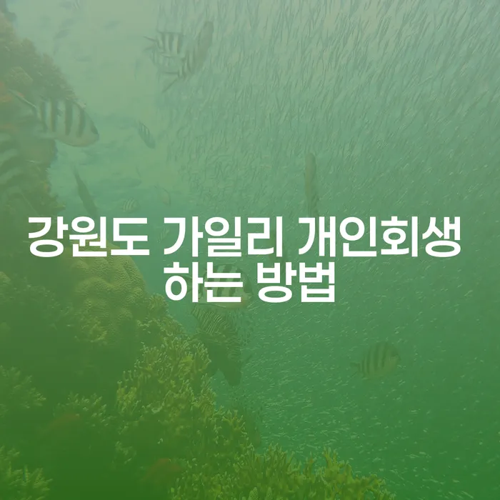 강원도 가일리 개인회생 하는 방법, 어떻게 시작해야 할까요?