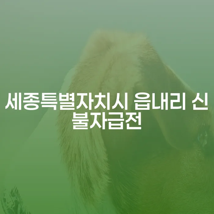 세종특별자치시 읍내리 신불자급전, 개인회생과 파산으로 극복할 수 있을까?