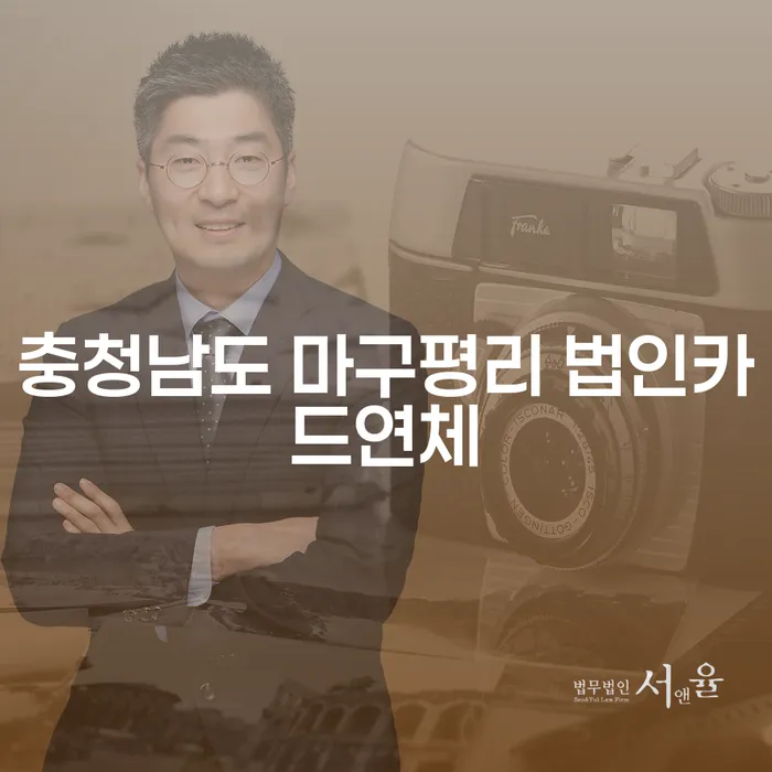 충청남도 마구평리 법인카드연체, 해결할 수 있는 방법은?